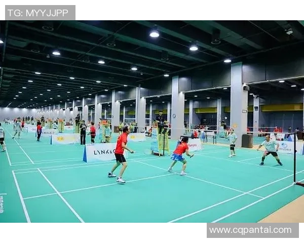 聚焦羽毛球成都羽毛球队近期状态分析与未来展望